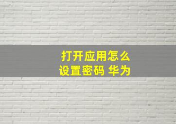 打开应用怎么设置密码 华为